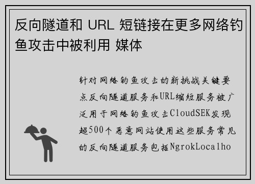 反向隧道和 URL 短链接在更多网络钓鱼攻击中被利用 媒体